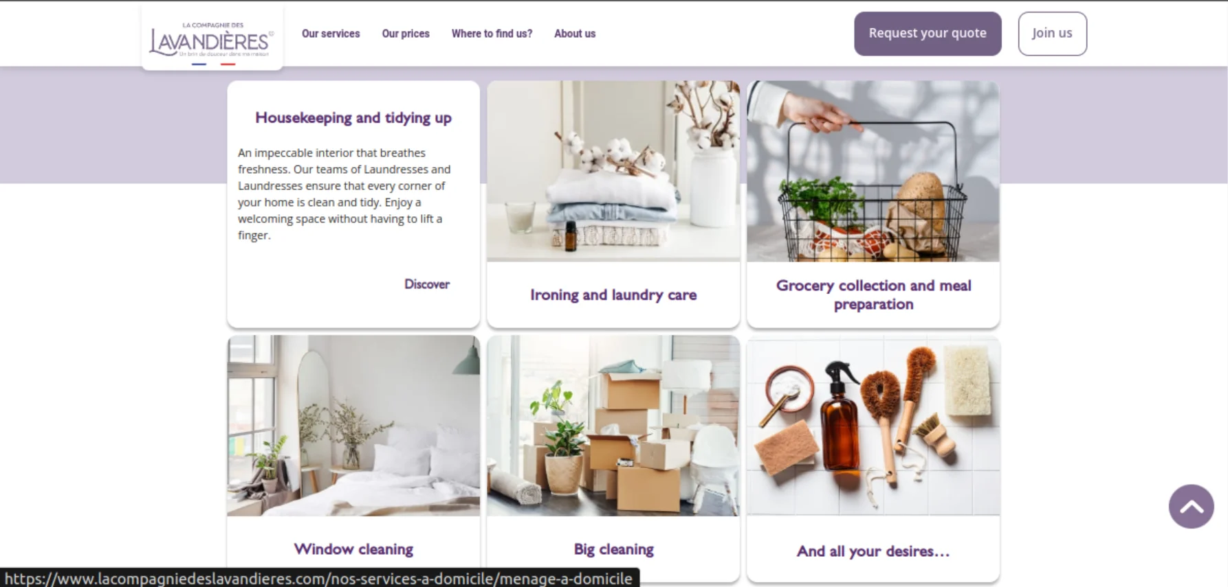 Public Enterprise Website for Laundry Services